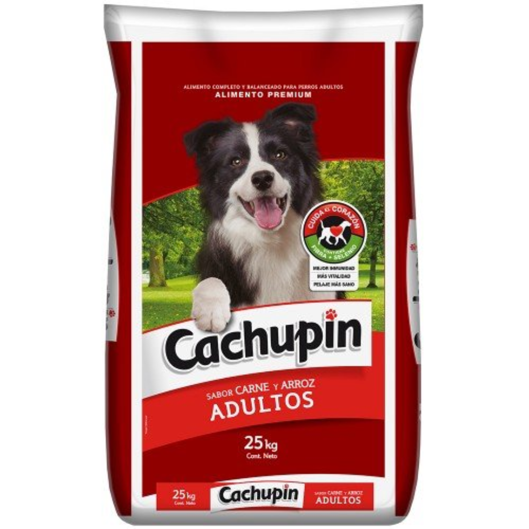 Cachupin25